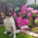 Profile Picture of Paulina Maciołek (@maciolek.paulina) on Instagram