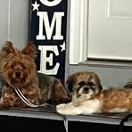 Profile Picture of JoshTiffany Roop (@joshtiffany.roop) on Facebook