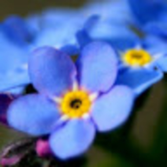 Eunkyung Kim - Poshmark Profile Picture of Eunkyung Kim (@eunkyung0521) on Poshmark