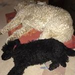 Profile Picture of Christian Bergfeld (@christianbergfeld) on Instagram