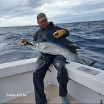 Profile Picture of Andrew Dale (@andrewdale50) on Instagram