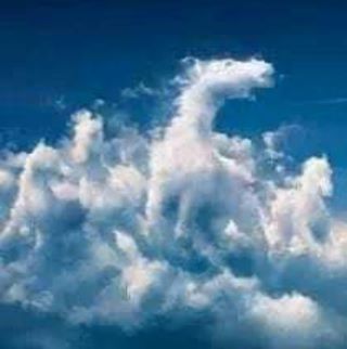Profile Picture of Kimber Matt (@kimber.matt.9) on Facebook