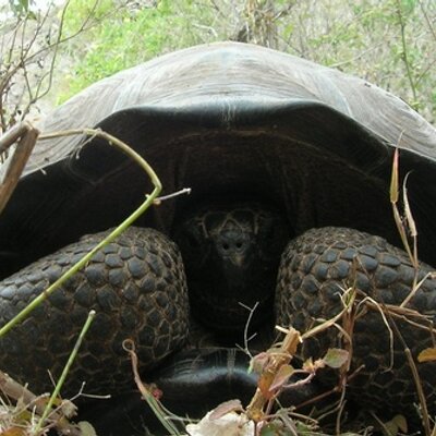 Profile Picture of Marc McAlpin (@Ballcuzzi) on Twitter