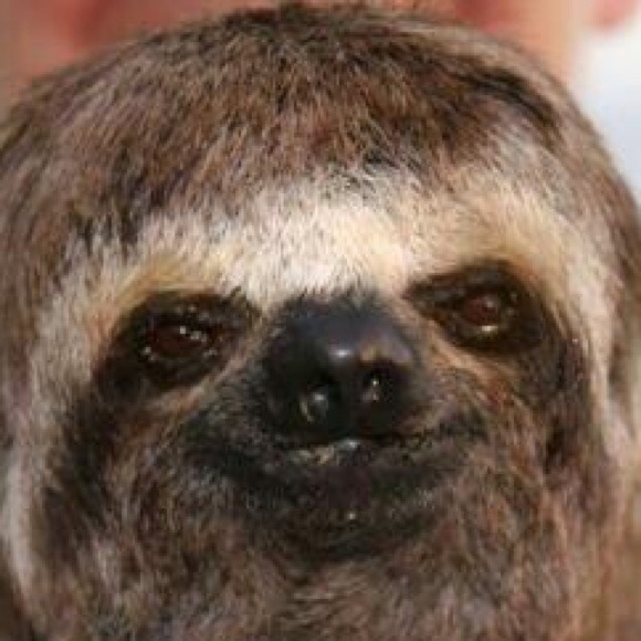 Profile Picture of Shay Leon (@shaniquamuffins) on Poshmark