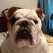 Profile Picture of Ruth Huffman-Mann (@huffmanmann) on Pinterest
