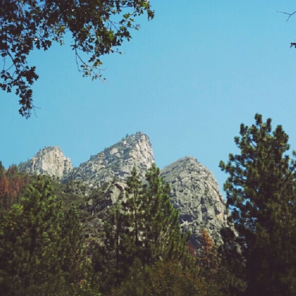 Profile Picture of Veronica Rodriguez (@vronneerod) on Poshmark