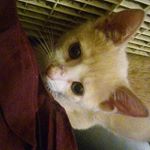 Profile Picture of albertbaileyo (@albertbaileyo) on Instagram