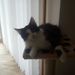 Profile Picture of Lisa Doppelbauer (@jolidoppelbauer) on Pinterest