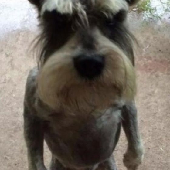 Profile Picture of Ann Mathieson (@annmathieson0) on Tiktok