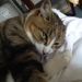 Profile Picture of Nadia Robertson (@nadia0374) on Pinterest