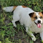 Profile Picture of Sara Tommy (@Sara-Tommy) on Facebook