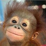 Profile Picture of Peter Burdhimo (@pburdhimo) on Instagram