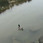 Profile Picture of Paula Roderick (@paula.roderick.100) on Instagram