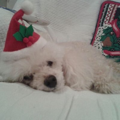 Profile Picture of Andrew Darley (@AndrewDarley4) on Twitter