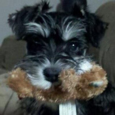 Profile Picture of Jeff Kinner (@BeauDean85) on Twitter