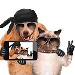 Profile Picture of Jeffrey Williams (@aww24x7) on Instagram