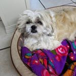 Profile Picture of joe braga (@joebraga0715) on Instagram