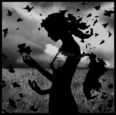 Profile Picture of Catherine Caulfield (@TrueSoulTherapy) on Twitter