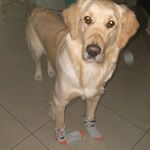 Profile Picture of Jola Dopierała (@joladopierala) on Instagram