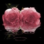 Profile Picture of Shaiane K. Wright (@shaniqua_wright) on Instagram