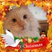 Profile Picture of Tammy Kerns (@tammy.kerns.12) on Facebook