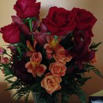 Profile Picture of Stella Neely (@postal127) on Instagram