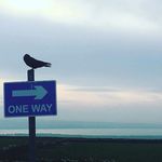 Profile Picture of James Ginnane (@belletower_) on Instagram