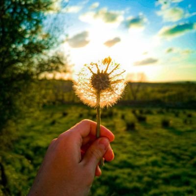 Profile Picture of Nathan Monaghan (@NathanMonaghan4) on Twitter