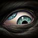 Profile Picture of Nick Wimmer (@nick.wimmer.79) on Facebook