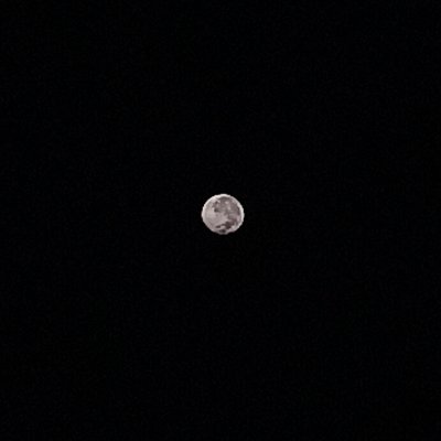 Profile Picture of Samuel Zheng (@SamuelZheng16) on Twitter