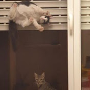 Alexandra Dobrikova - Youtube Profile Picture of Alexandra Dobrikova (@lotner) on Youtube