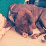 Profile Picture of Aaron (@drknockout33) on Instagram