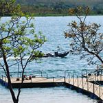 Profile Picture of Leonardo Paz (@pesca_viola) on Instagram