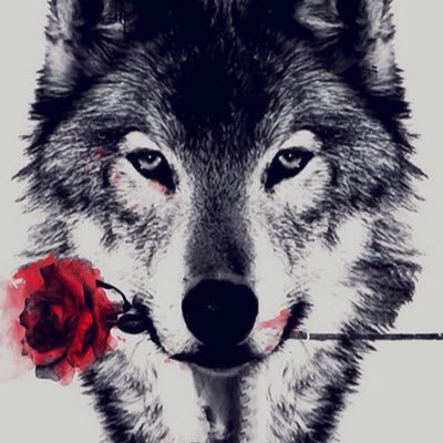 Profile Picture of Selena Scott (@ScottSelenal) on Twitter