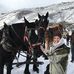Profile Picture of Kathy Hutchens (@kathy.hutchens.100) on Facebook