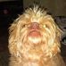 Profile Picture of Shelly Jefferies (@shelly.jefferies.5) on Facebook