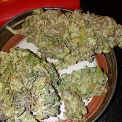 Profile Picture of John D. Knepp (@GotTree420) on Twitter