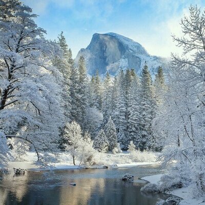 Profile Picture of Rita Rasmussen (@rasmussen04) on Twitter