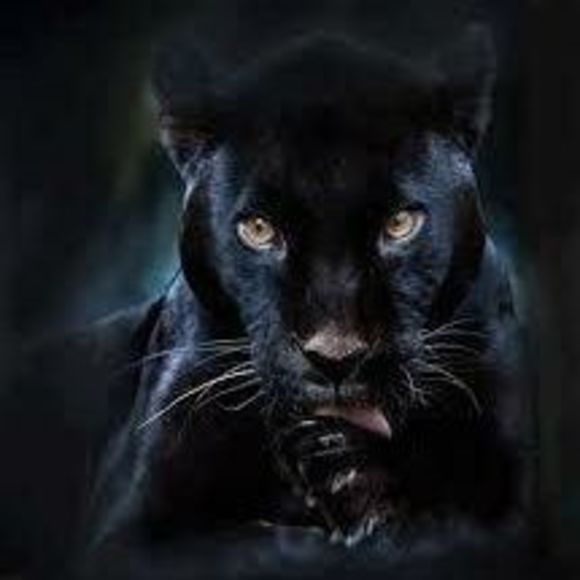 Profile Picture of Byron Ricketts (@byronricketts) on Poshmark