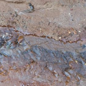 Profile Picture of Mark Prewitt (@markp4127) on Pinterest