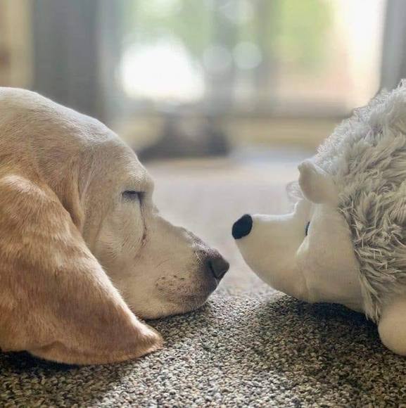 Profile Picture of Caitland Rebecca (@caitlandrebecca) on Poshmark