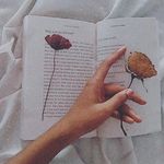 Profile Picture of Meenakshi Goswami (@moonglades_) on Instagram