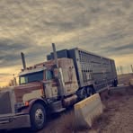 Profile Picture of Jon Walt (@Jon-Walt) on Facebook