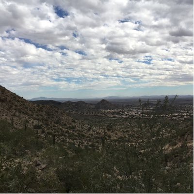 Profile Picture of Amanda (@a_hoss) on Twitter