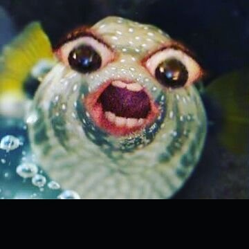 Profile Picture of Jim Salcedo Aguirre (@Jimmm_10) on Twitter