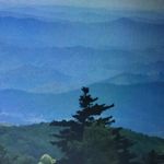 Profile Picture of Ryan Ramsay (@darthplagueis50) on Instagram