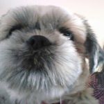 Profile Picture of Stuart Irwin (@irwin.stuart) on Instagram