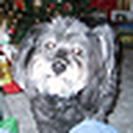 Profile Picture of Lisa Matthews (@lisasu2012) on Flickr