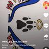 jaimeseidler - Tiktok Profile Picture of jaimeseidler (@@minifoxkirsten) on Tiktok