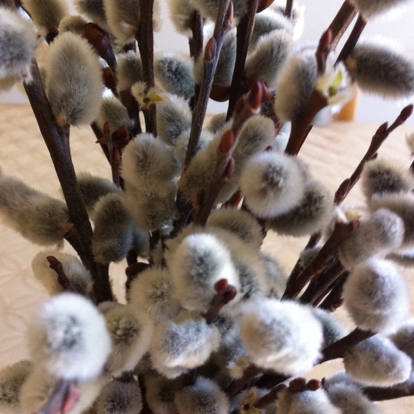 Profile Picture of Kina Ruszczyk (@kinuk1910) on Poshmark